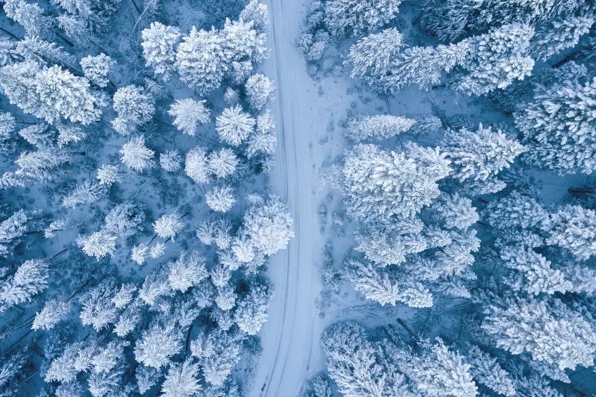 Aerial view of Ontario lakeland near Severn