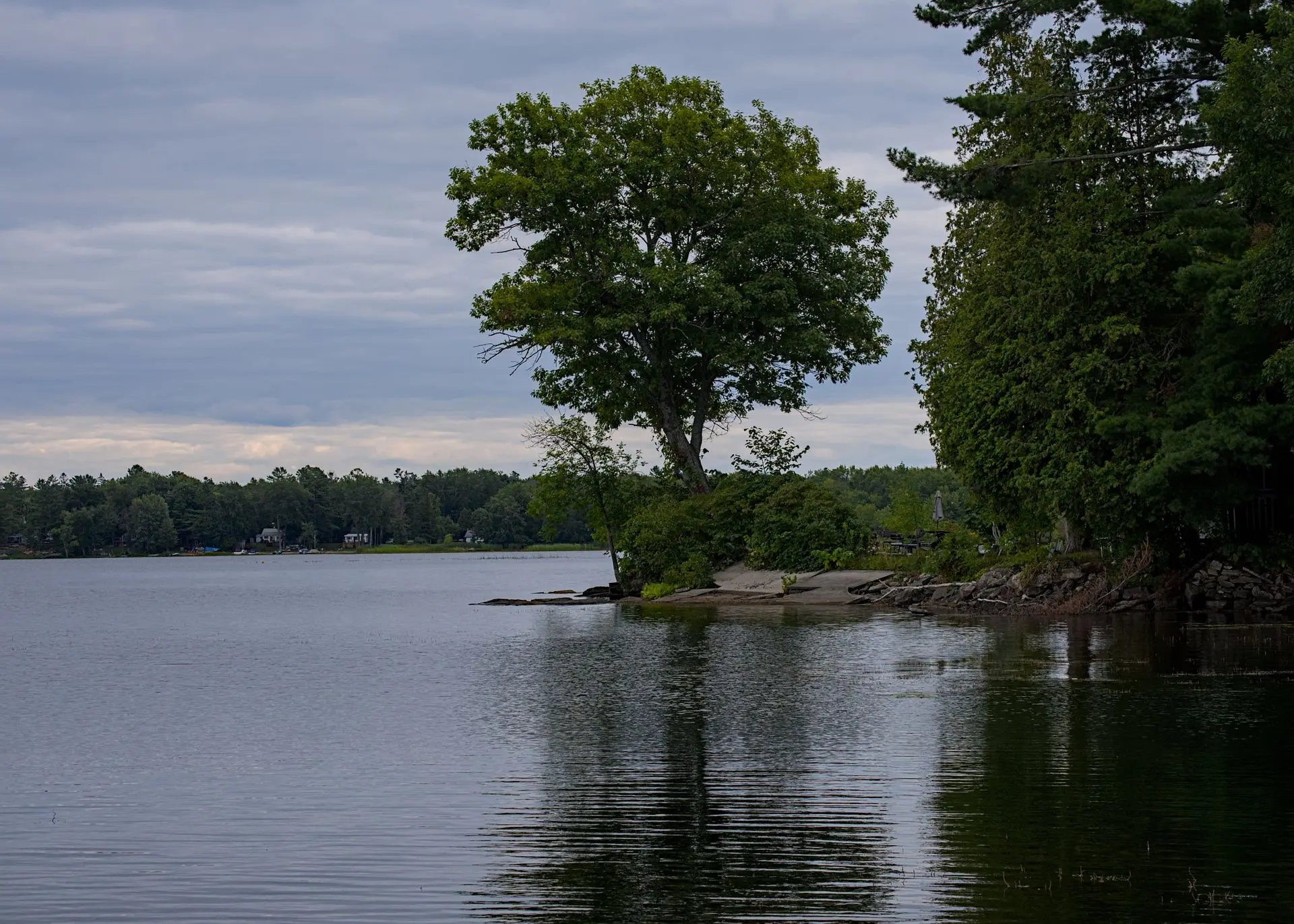 Serene lakeside landscape with trees reflecting on still water in Muskoka, Ontario