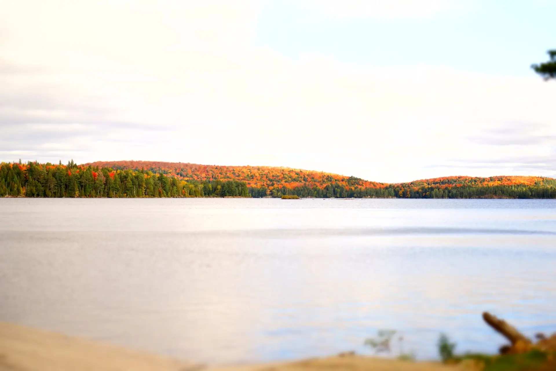 Autumn forest colours reflected in a tranquil Algonquin Park lake in Ontario